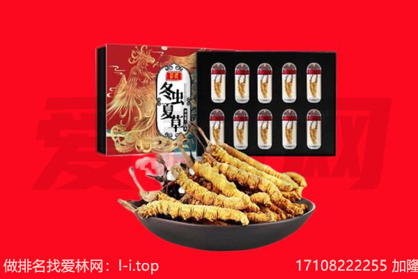 沈阳沈北新区回收虫草.jpg
